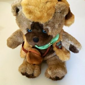 Emotions Frontier Bear